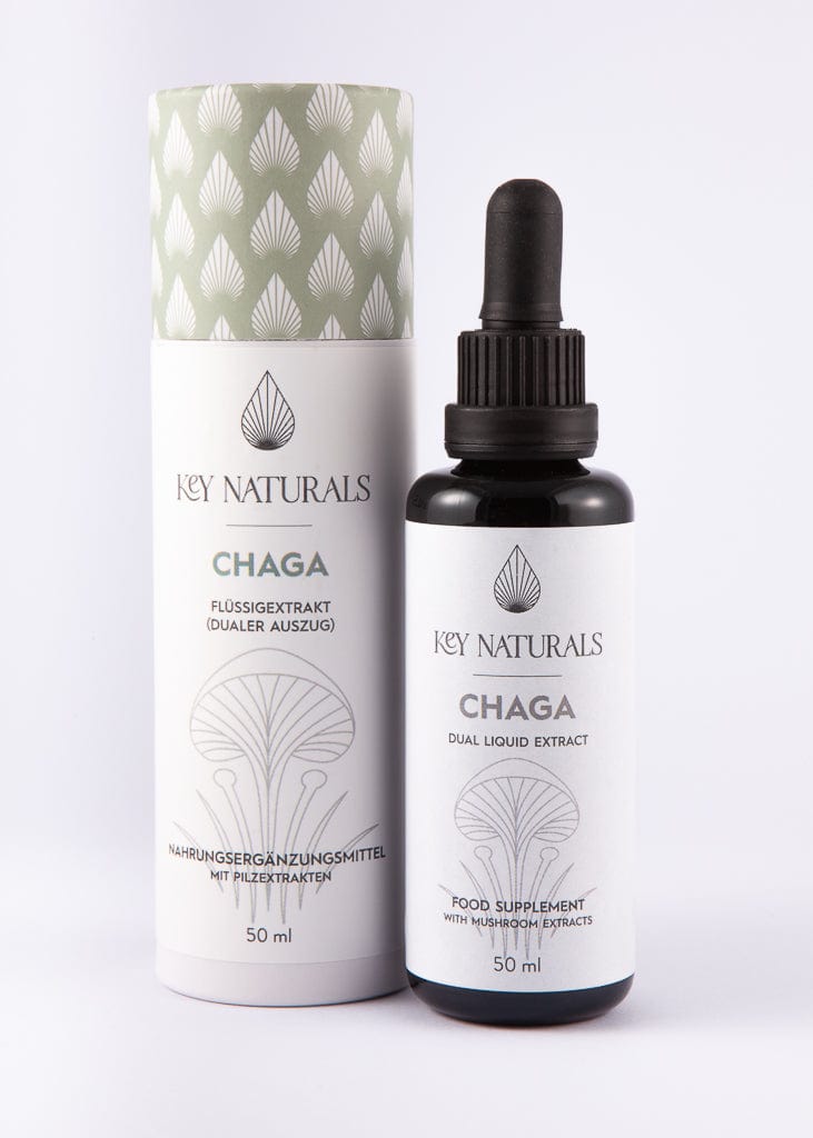 Chaga Flüssigextrakt