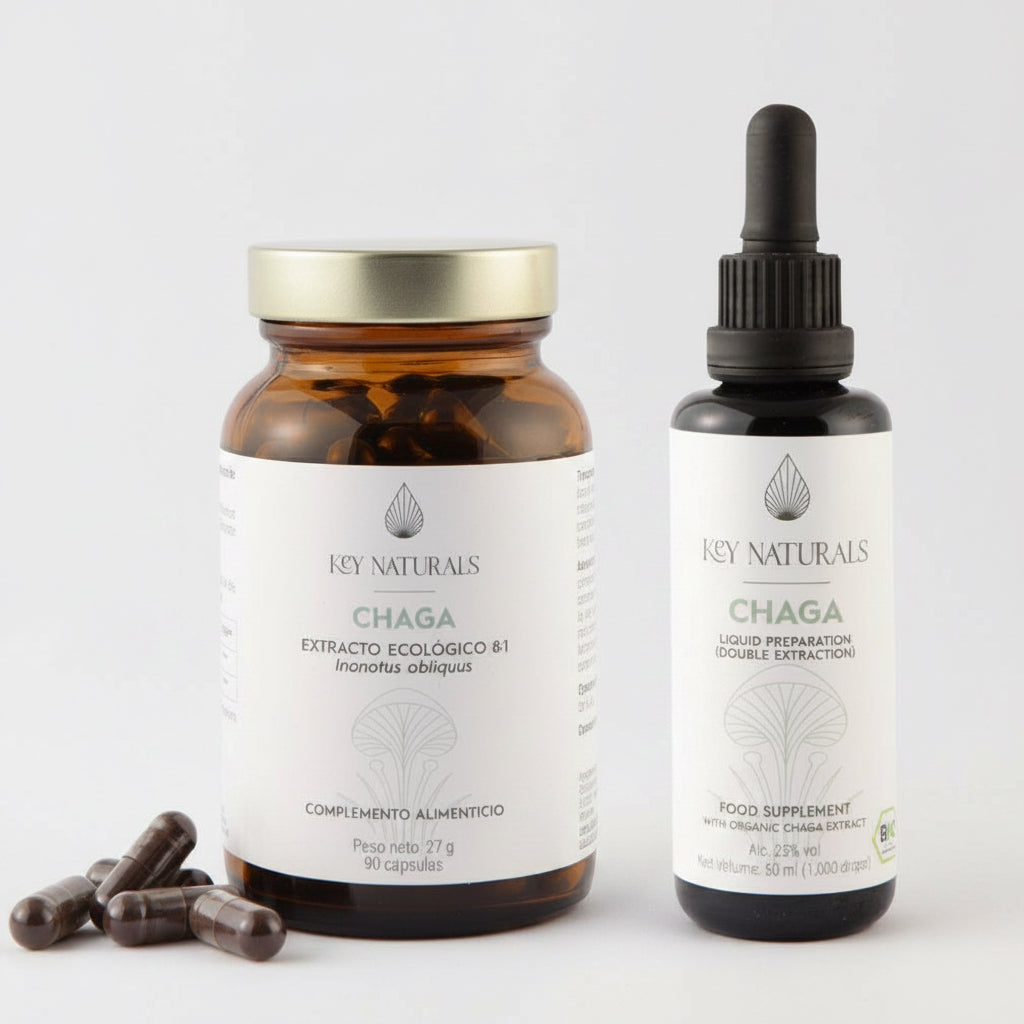 Chaga