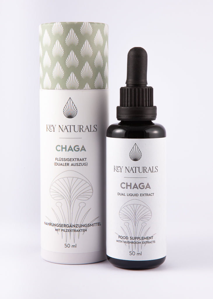 Chaga Tincture Medicinal Mushroom