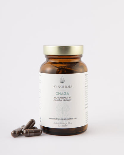 Extracto ecológico de Chaga en cápsulas