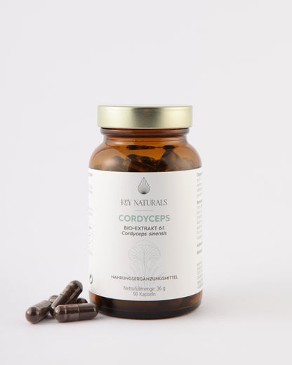 Extracto ecológico de Cordyceps en cápsulas